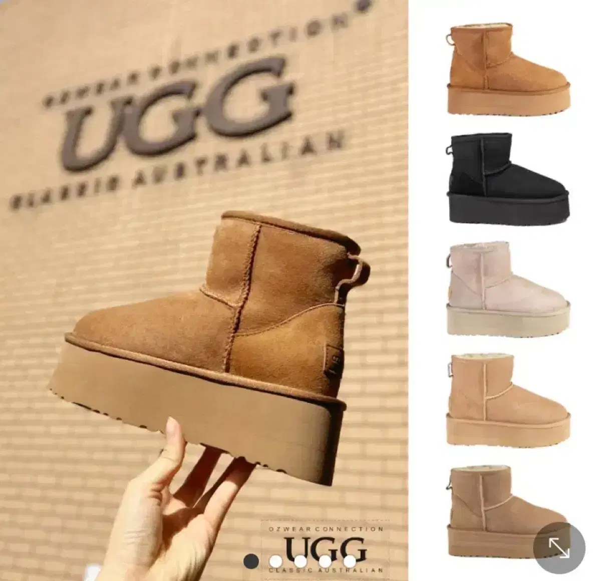 UGG 어그발목 오즈웨어 클랙시 미니 하이 털부츠 브론즈 240-245